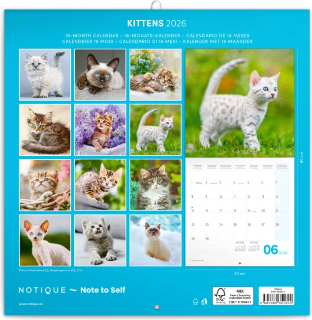 Calendario delle Note Gattini 2026