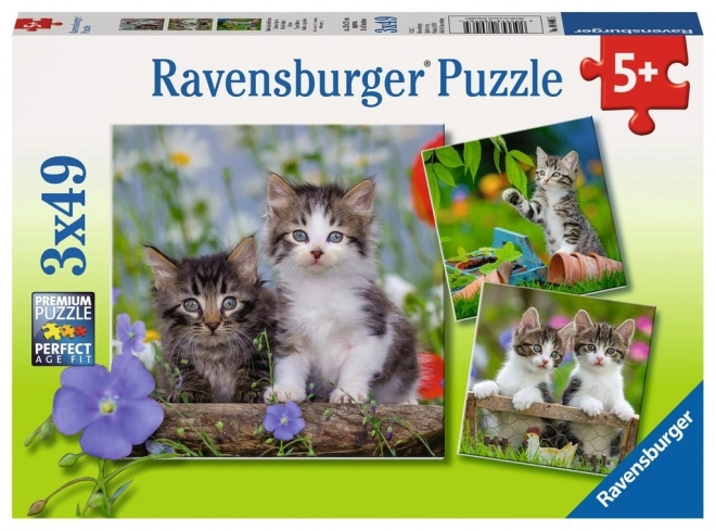 Puzzle Gattini 3x49 pezzi Ravensburger