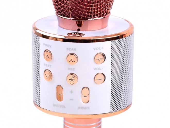 Microfono Karaoke Wireless con Altoparlante