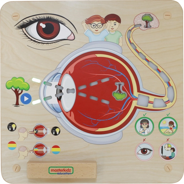 Masterkidz Pannello Educativo Sensoriale Vista Montessori