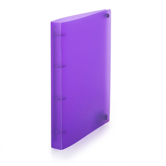 Porta documenti A4 D20 Opaline viola