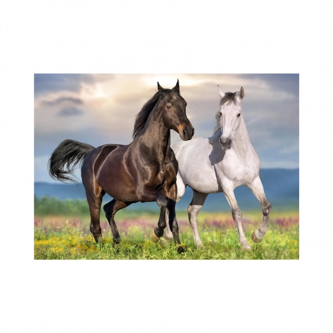 Cavalli Innamorati 500 Puzzle