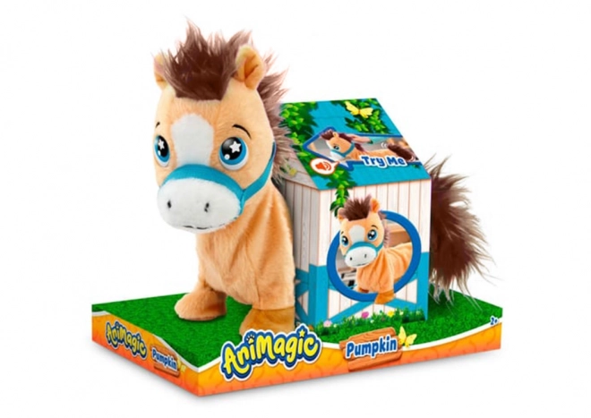 Animagic - Pumpkin il pony