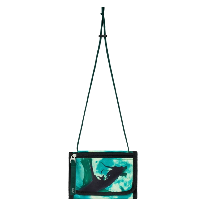 Design turchese con motivo di drago