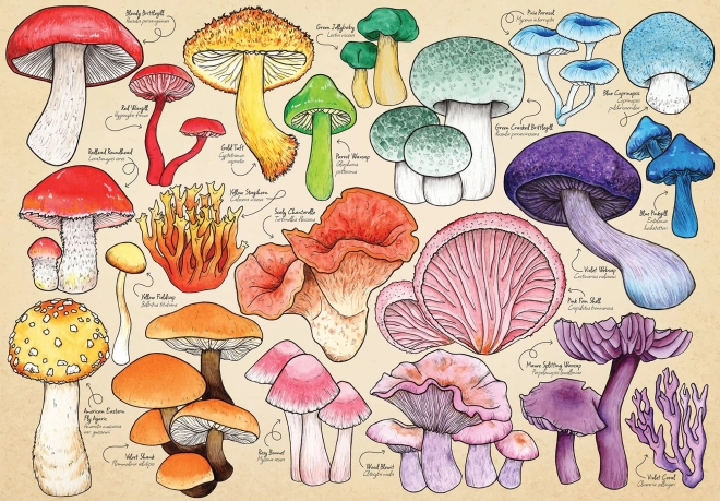 Puzzle Mania di funghi 1000 pezzi