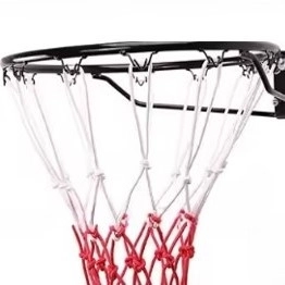 Canestro da basket a parete con tabellone e cerchio