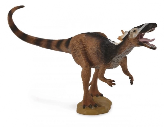 Collezione Xiongguanlong