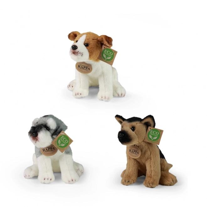 Esposizione peluche esclusivi cani e gatti eco-friendly