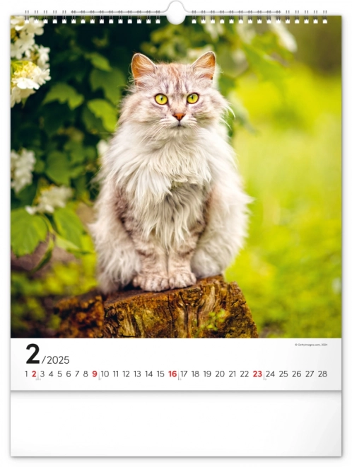 Calendario da parete Gatti 2025