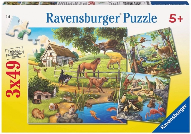 Puzzle Animali Domestici Set da 3