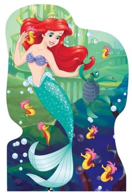 Puzzle sagomati Disney Principesse 4x54 pezzi