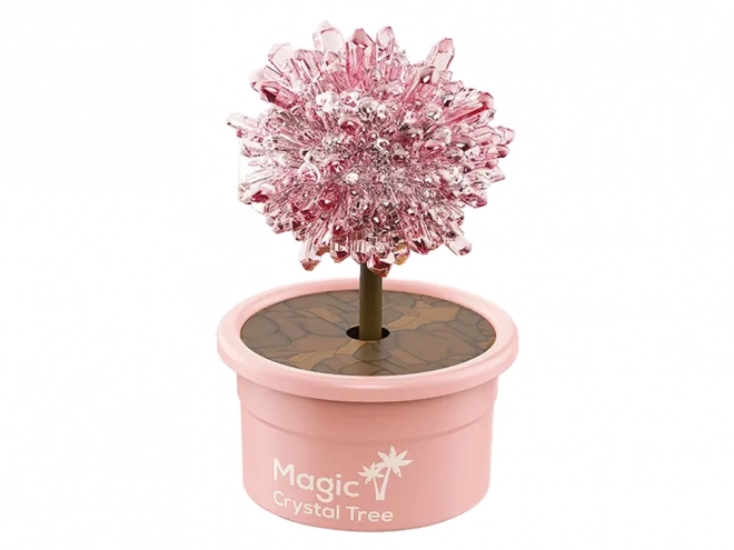 Magico Albero Coltivazione Cristalli Esperimenti Rosa