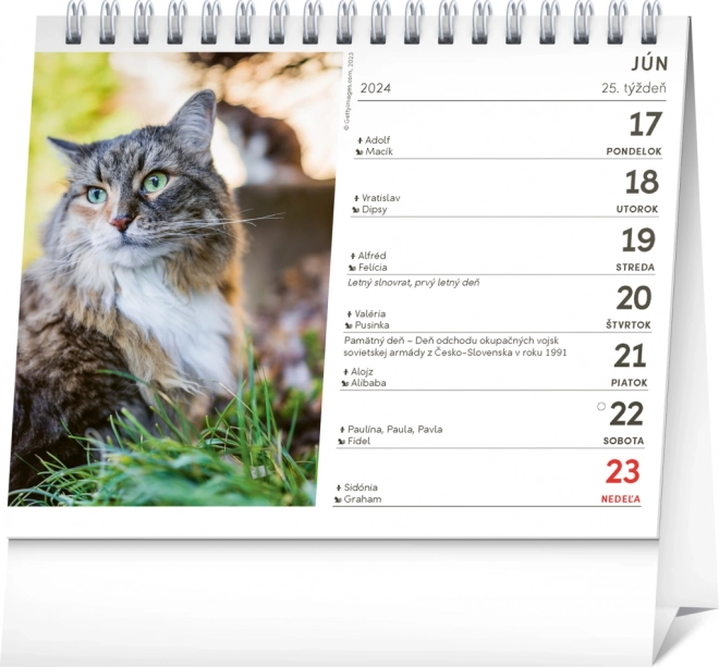 Calendario da Tavolo Gatti 2024