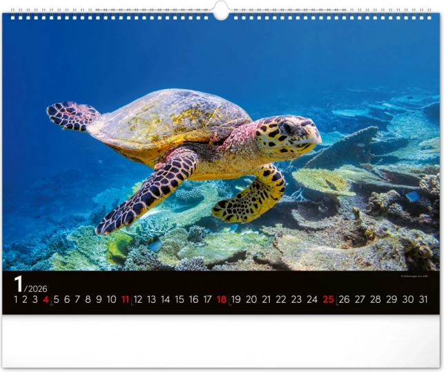 Calendario da parete Mondo sottomarino 2026