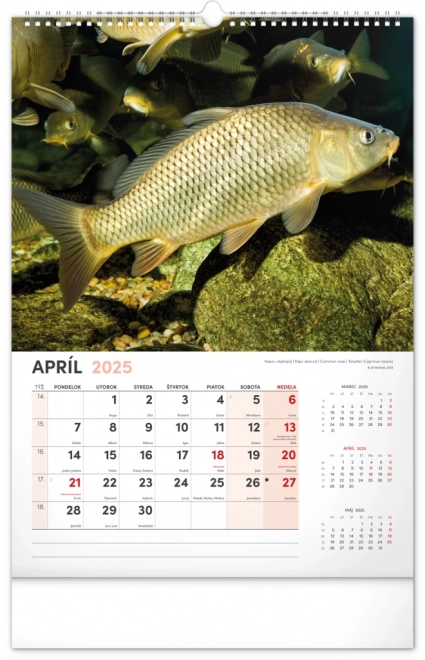 Calendario da parete Pescatore 2025