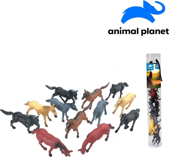 Animali nella tuba - Cavalli
