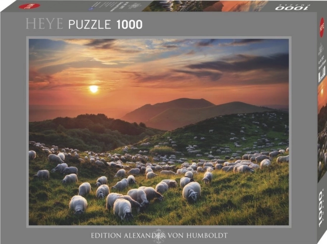 Puzzle 1000 pezzi pecore e vulcani