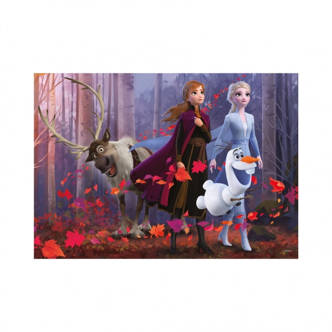 Puzzle Frozen 2 XL 300 pezzi di DINO