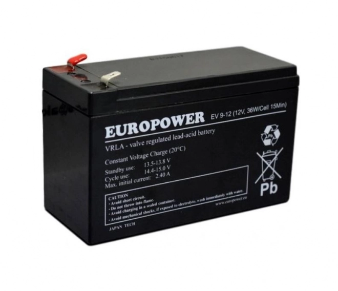 Batteria EV 12V 9Ah