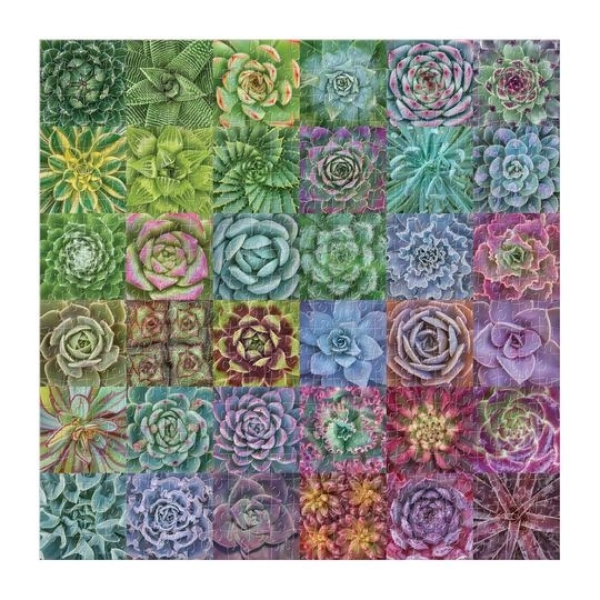 Puzzle Piante Grasse Colorate 500 Pezzi