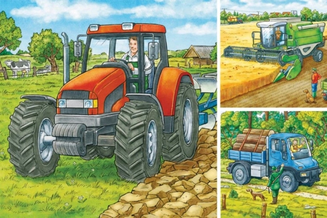 Puzzle Macchine Agricole 3x49 pezzi