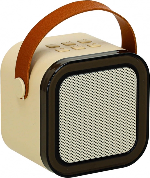 Altoparlante compatto 6 W con Bluetooth