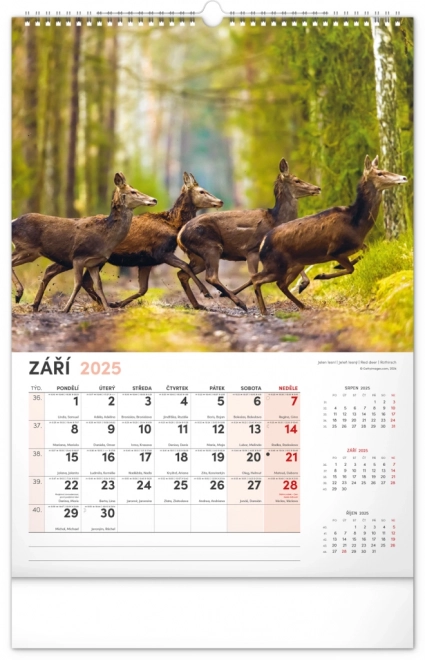 Calendario da parete 2025 cacciatore e natura ceca