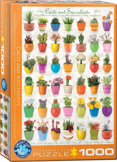 Puzzle Cactus e Succulente 1000 pezzi