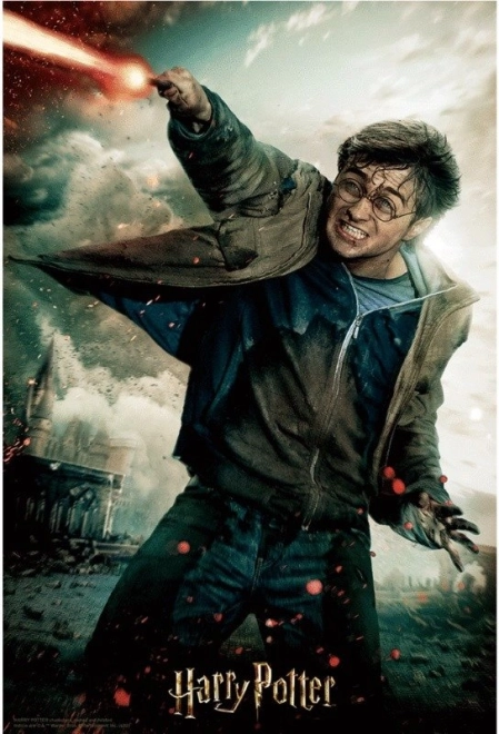 Puzzle 3D Harry Potter: Harry