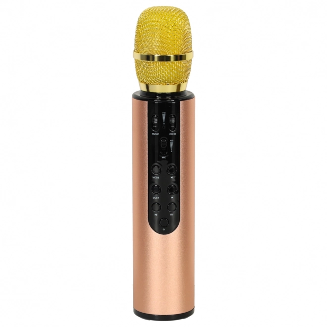 Microfono karaoke wireless Bluetooth nero – Oro