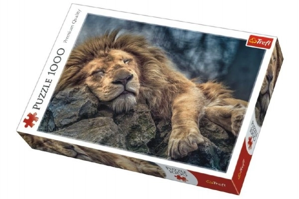 Puzzle TREFL Leone Addormentato 1000 Pezzi