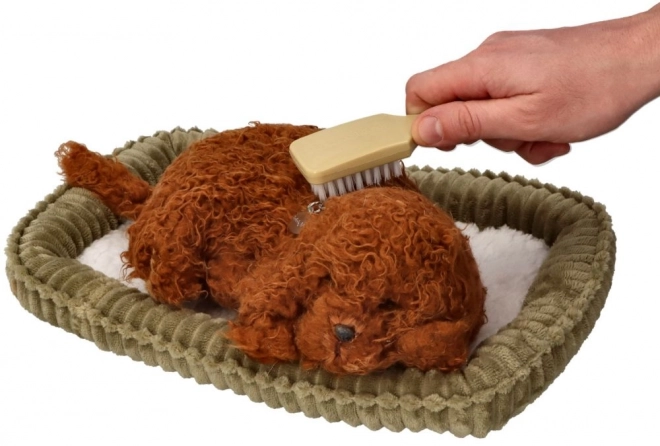 Cucciolo Dormiente Perfect Petzzz Barboncino