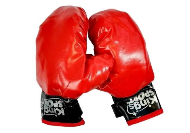 Set da Boxe Guanti e Scudo per Bambini