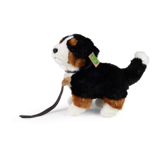 Cane di peluche Bernese da 22 cm Eco Friendly