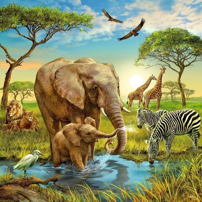 Puzzle Animali 3x49 pezzi RAVENSBURGER