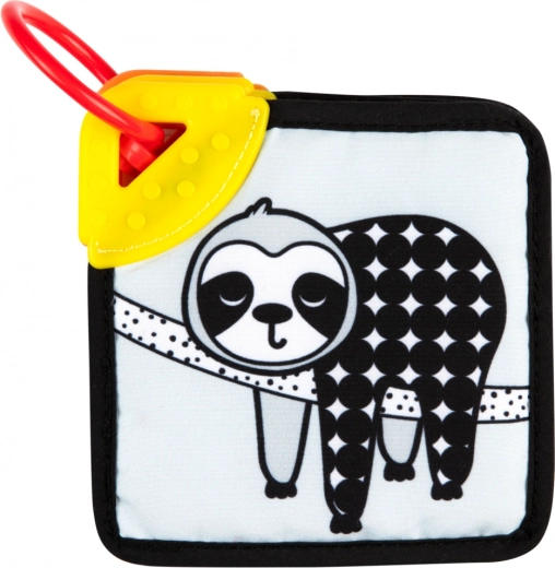 Massaggiagengive per dare sollievo alle gengive sensibili