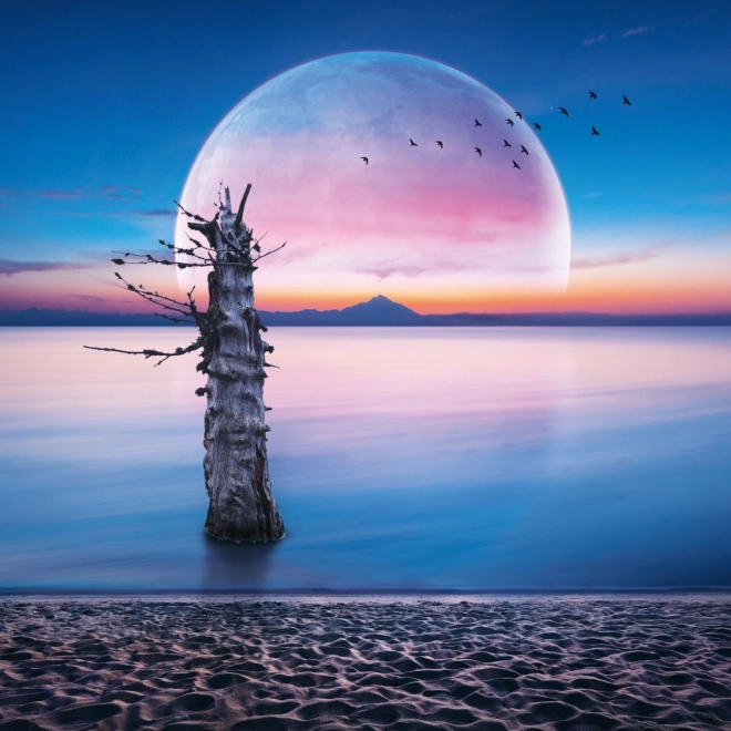 Calendario delle note Luna 2026
