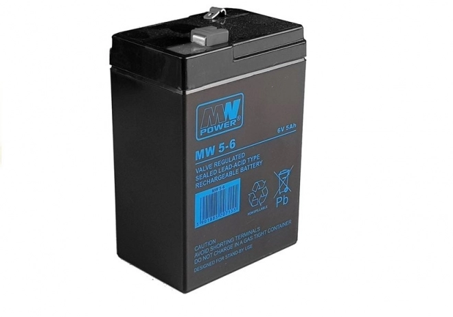 Batteria Gel AGM per Automobili 6V 5Ah