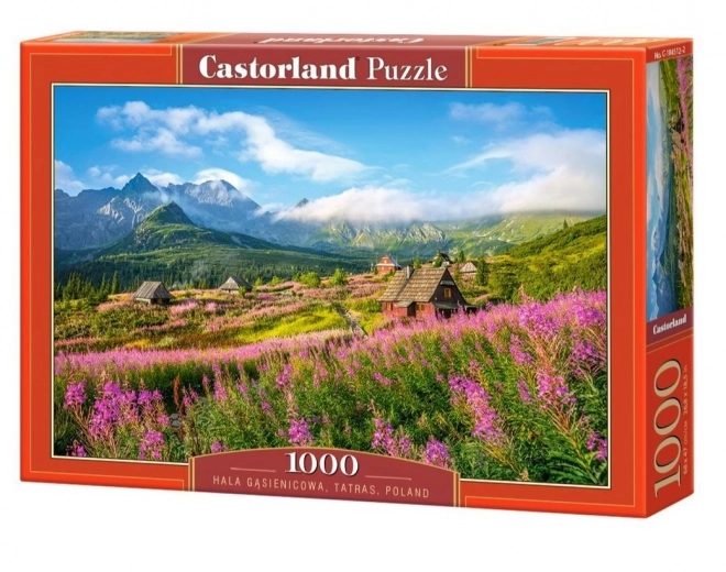 Puzzle 1000 pezzi Hala Gąsienicowa Tatras