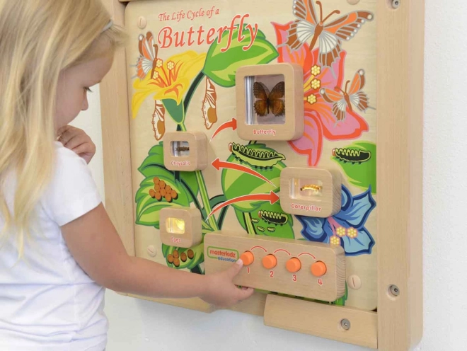 tabella educativa a parete ciclo di vita della farfalla masterkidz