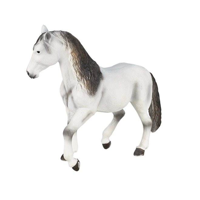 Mojo cavallo andaluso grigio