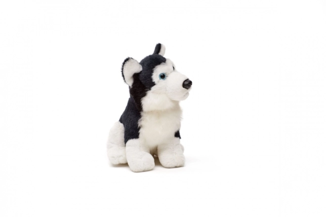 Husky di peluche 15 cm