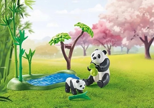 Giardino asiatico con panda My Life