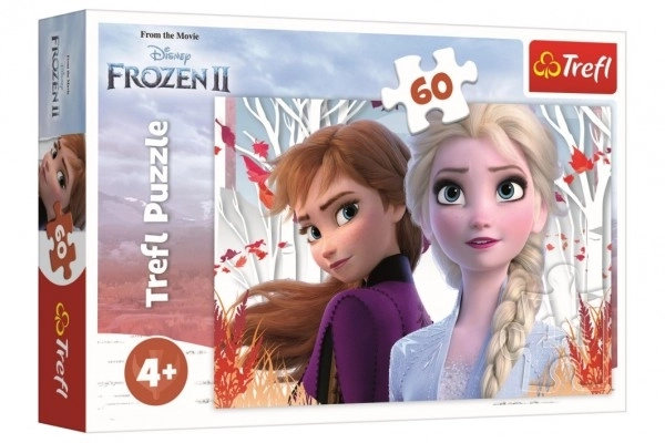 Puzzle 60 Pezzi Kraina Lodu 2 Enchanted World di Anna ed Elsa