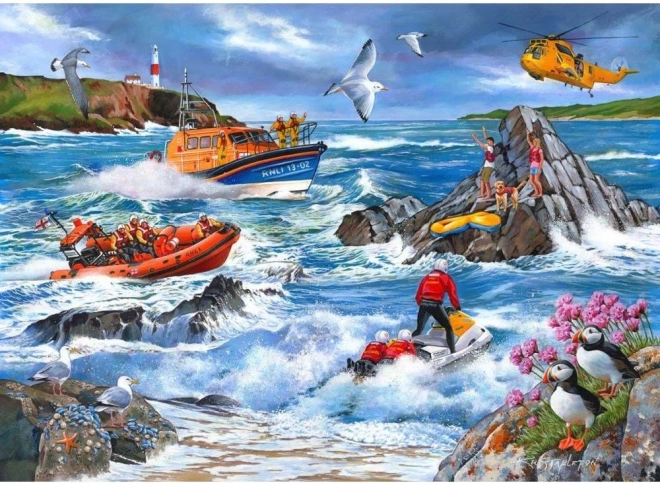 Puzzle Contro la marea 1000 pezzi di House of Puzzles