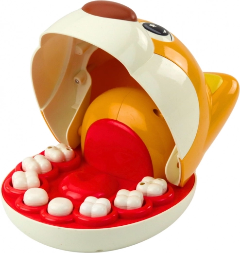 8 denti rimovibili e strumenti realistici