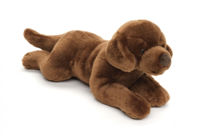 Peluche Labrador 40 cm Eco-Friendly