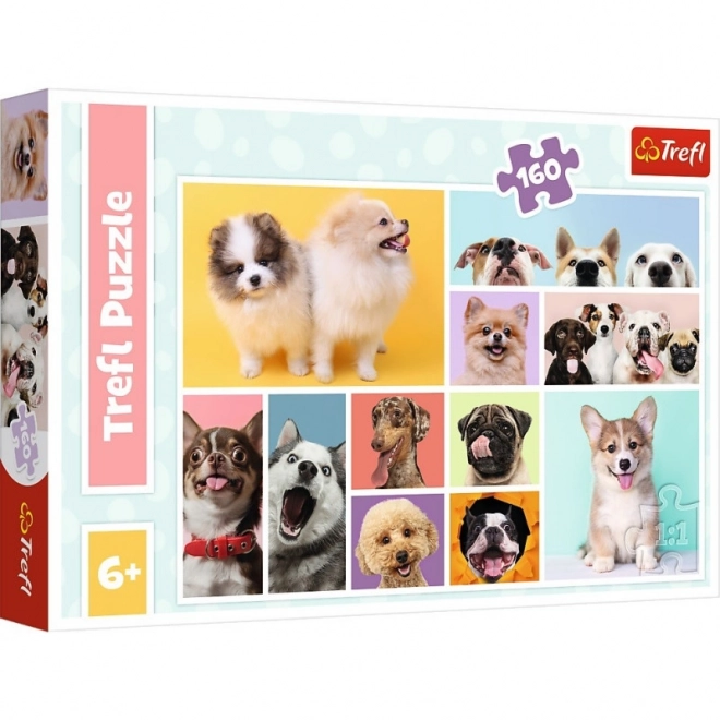 Puzzle Amicizia Canina 160 Pezzi