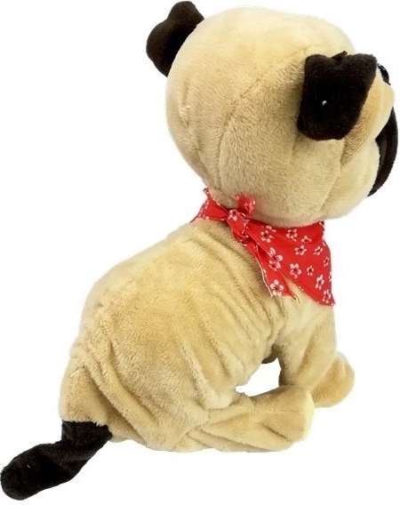 Primo “animaletto” ideale