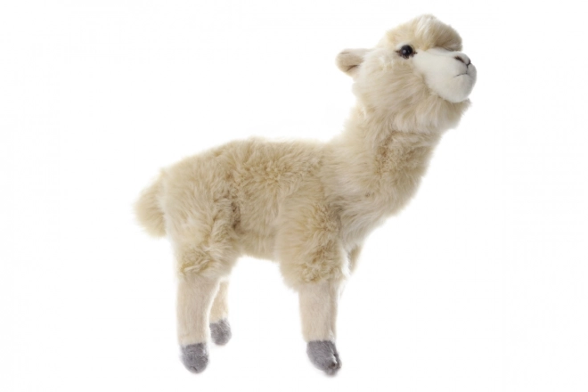 Alpaca Peluche 26cm Eco-Friendly